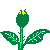 Flower3.gif