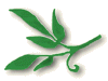 leafl.gif